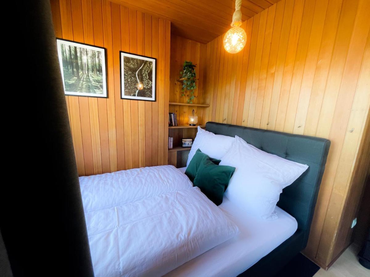Gemuetliche Ferienwohnung Mit Kostenfreiem Pool 霍兴斯旺德 外观 照片